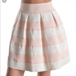 Express skirt